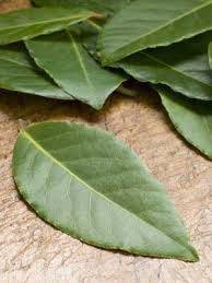 naicheteni: Магическите свойства на лавровите листа!