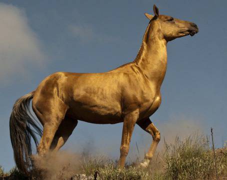 Най-необикновените породи коне