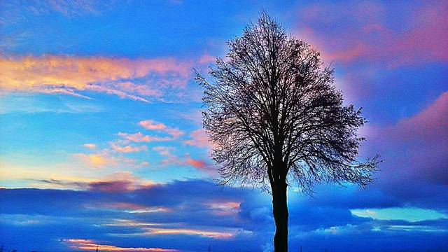 Въведение в пранаяма