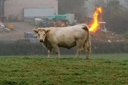 „Ама не е това, което си мислиш“