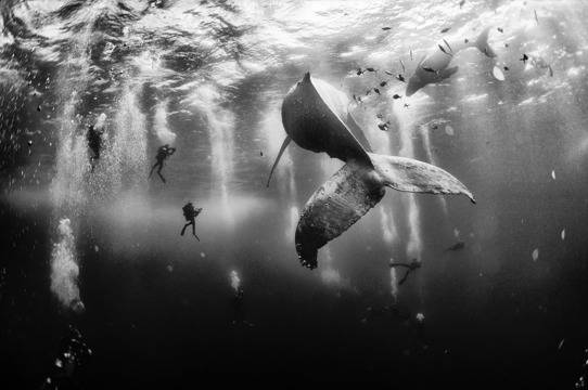 National Geographic Traveler Photo Contest 2015