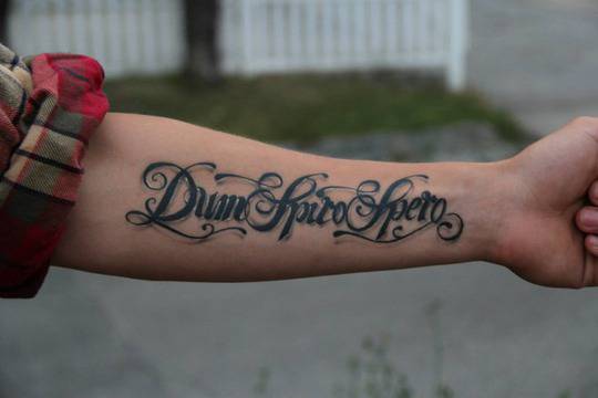 20 латински сентенции за всекидневна употреба