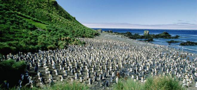 Островът на пингвините