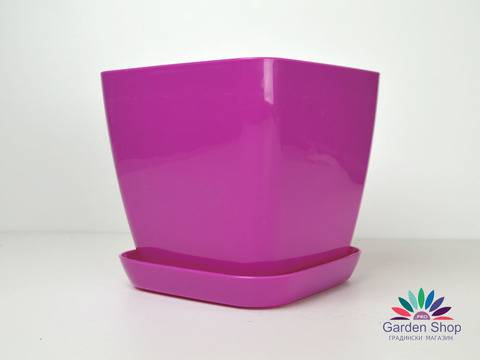 Една изключително цветна саксия с квадратна форма – Цикламена Джоли