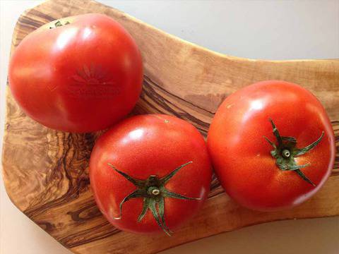 Семена от вкусни холандски домати за оранжерия полиетиленова – Робин F1