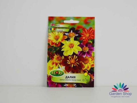 Семена на Далия – Гергина (Dahlia Collarette Dandy mixed)