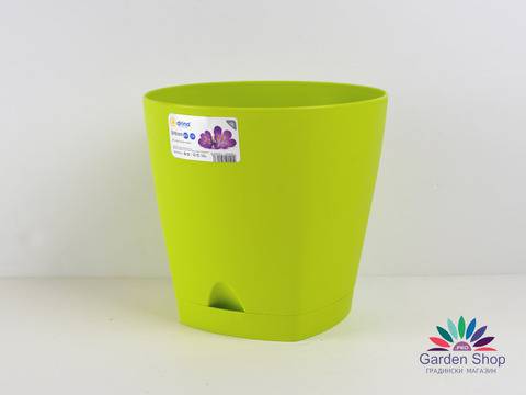 Свежа пластмасова саксия за Нолина – Зелена Джина