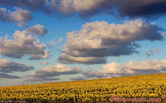 Христо Стефанов (ico10) – Отлитащо лято – фото: Природа, Пейзаж