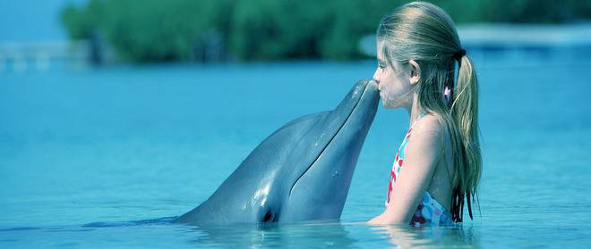 Какво си мислят делфините, докато махат за сбогом