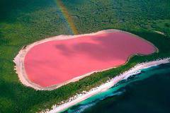 Розовото езеро Хилиър