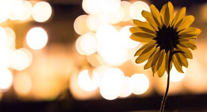 Петър Дънов за лечебната сила на мисълта