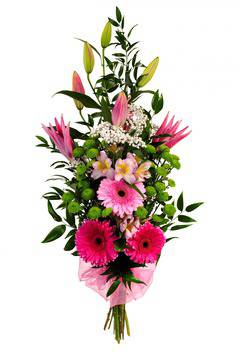 Доставка на букети от гербери в София, Пловдив, Варна, Бургас