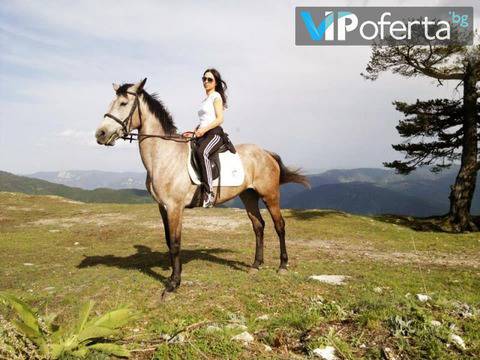 Конна езда край Пловдив – Конна база „Стела“