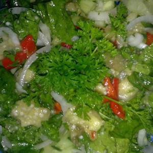 СВЕЖА ЛЯТНА САЛАТА С МАНГОЛД И ПЕЧЕН ПАТЛАДЖАН