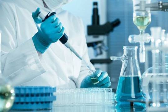 Генът казва, но средата определя