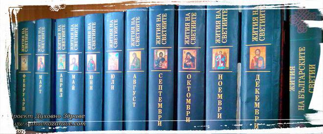 Услуги предлагани по Проекта