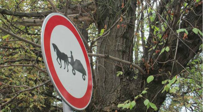 През очите на чужденец