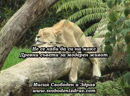 Не се хаби да си на макс! Древни съвети за модерен живот