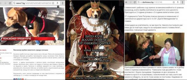 Бито куче жално повече от унижен учител