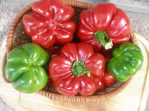 borsa Плодовитово: плодове и зеленчуци!