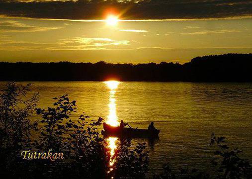 Фотографските услуги, на които да разчитате