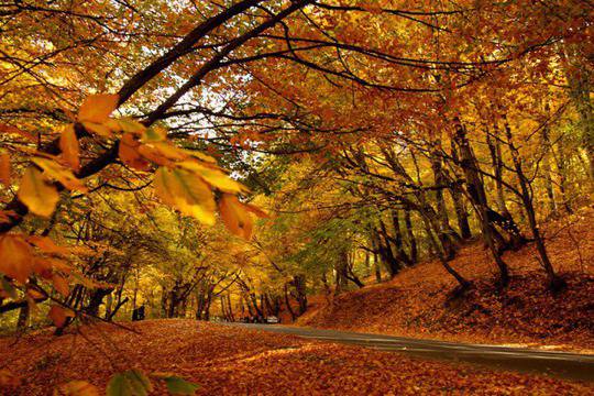 Прогноза за времето Ноември 2015