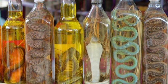 Питиета, които трябва да опитате по време на почивката си