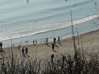 ОЧЕРТАВА СЕ ТОПЛА ЗИМА И НОЕМВРИ ОСТАВА БЕЗ СЪЩЕСТВЕН СНЯГ VREMETO PROGNOZA ПРОГНОЗА ЗА ВРЕМЕТО