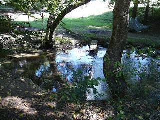 ДНЕС ЩЕ Е СЛЪНЧЕВО И ВЕТРОВИТО С ТЕМПЕРАТУРИ ДО 14 ГРАДУСА VREMETO PROGNOZA ПРОГНОЗА ЗА ВРЕМЕТО