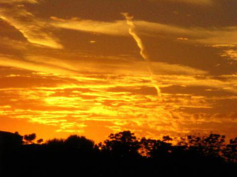 Цитати за живота