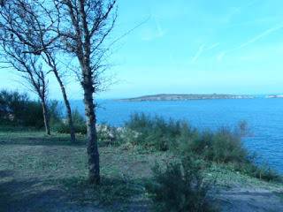 ПРЕЗ ДЕКЕМВРИ НИ ОЧАКВАТ ТЕМПЕРАТУРИ ОТ МИНУС 10 ГРАДУСА ДО ПЛЮС 16 VREMETO PROGNOZA ПРОГНОЗА ЗА ВРЕМЕТО