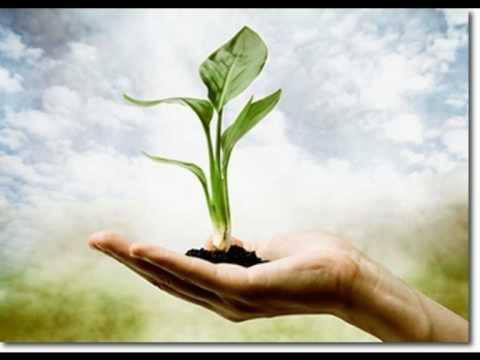 Как да привлечем парите в живота си?