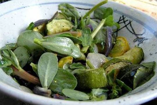 Това растение лекува рак и диабет, а българите го унищожаваме