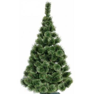 Зелена коледна елха – гъста