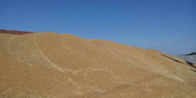 Измама със зърно чрез манипулиран кантар в кооперация в село Малко Враново