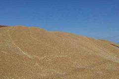 Измама със зърно чрез манипулиран кантар в кооперация в село Малко Враново