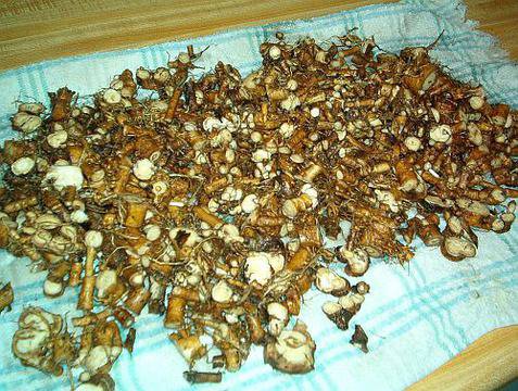 Корени от билка, позната ни от векове, убиват рака