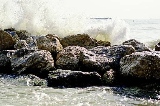 Могъщо лечение от пчелите