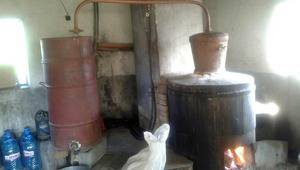 Девет жертви на фалшив алкохол в Якоруда