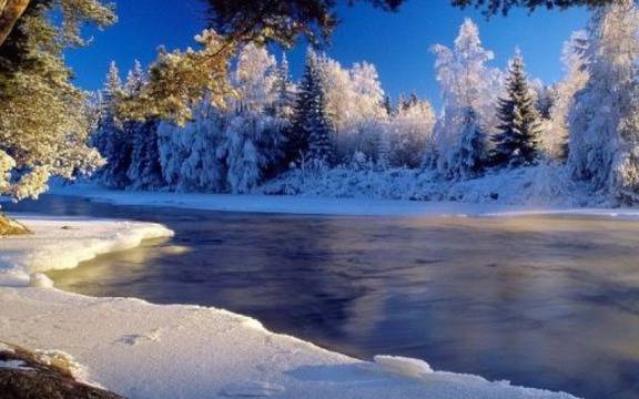 Честита Нова година!