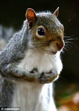 Пияна катерица наводни заведение с наливна бира! Вижте какво се случи след това!