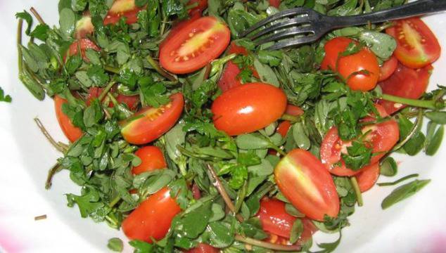 В България масово се унищожава растение, което лекува рак и предпазва от инфаркт