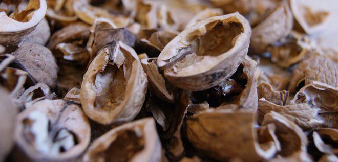 Ядките на орехите са полезни, но черупките лекуват