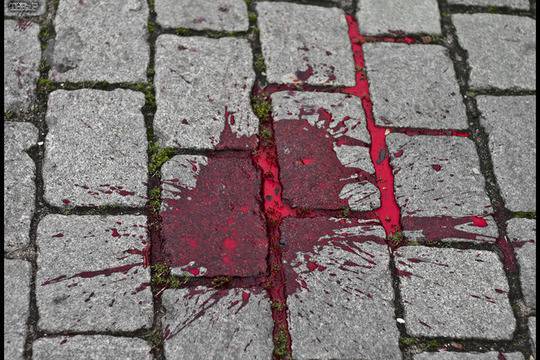 Законът на приматите