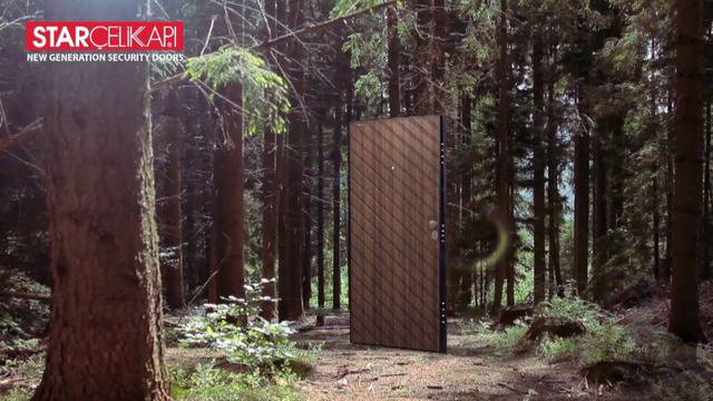 Входни блиндирани врати-Star Celik Kapl-Makroline Doors-Велико Търново-София