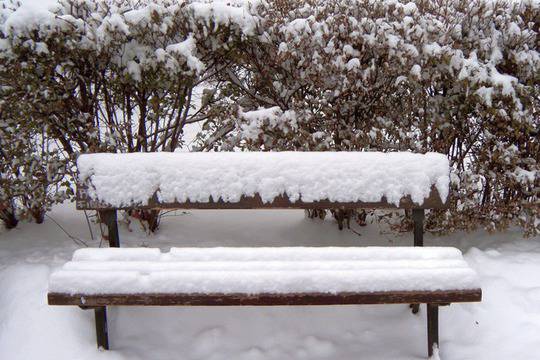 Какво да НE правим през зимата