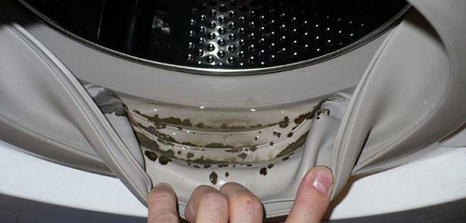Как да премахнете опасния мухъл и неприятните миризми от пералнята само с две съставки?