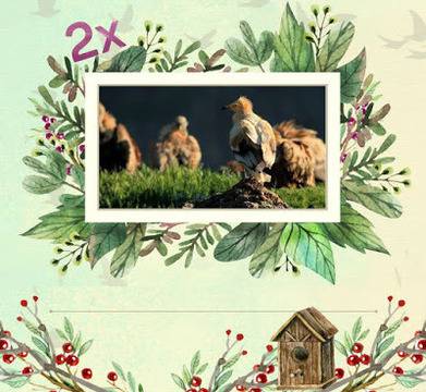 Конкурси всякакви: Спечелете 2 семейни пътувания до „Царството на лешоядите“ в Маджарово