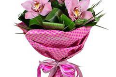 Е-Цвете - Доставка на цветя от http://e-cvete. com :: Интересна и любопитна информация за орхидеите