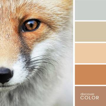 Вдъхновяващи цветни палитри и цветовете в интериора